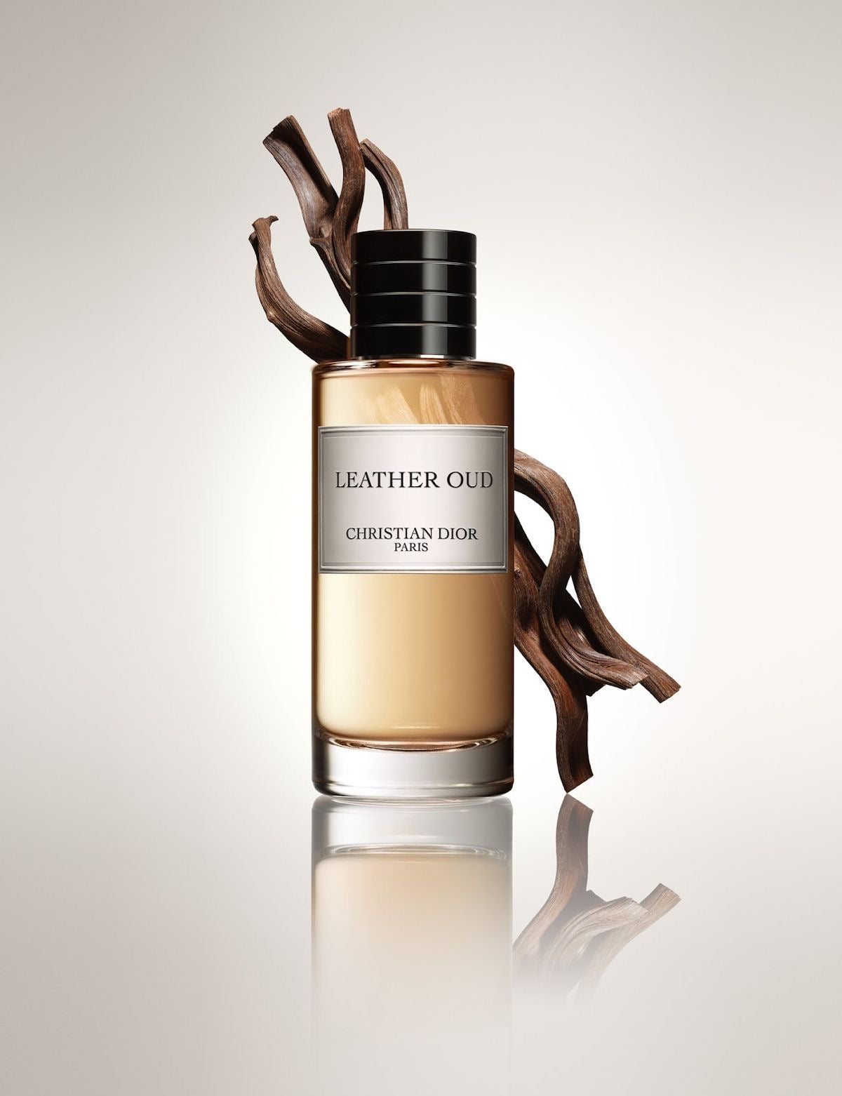 Dior Leather Oud