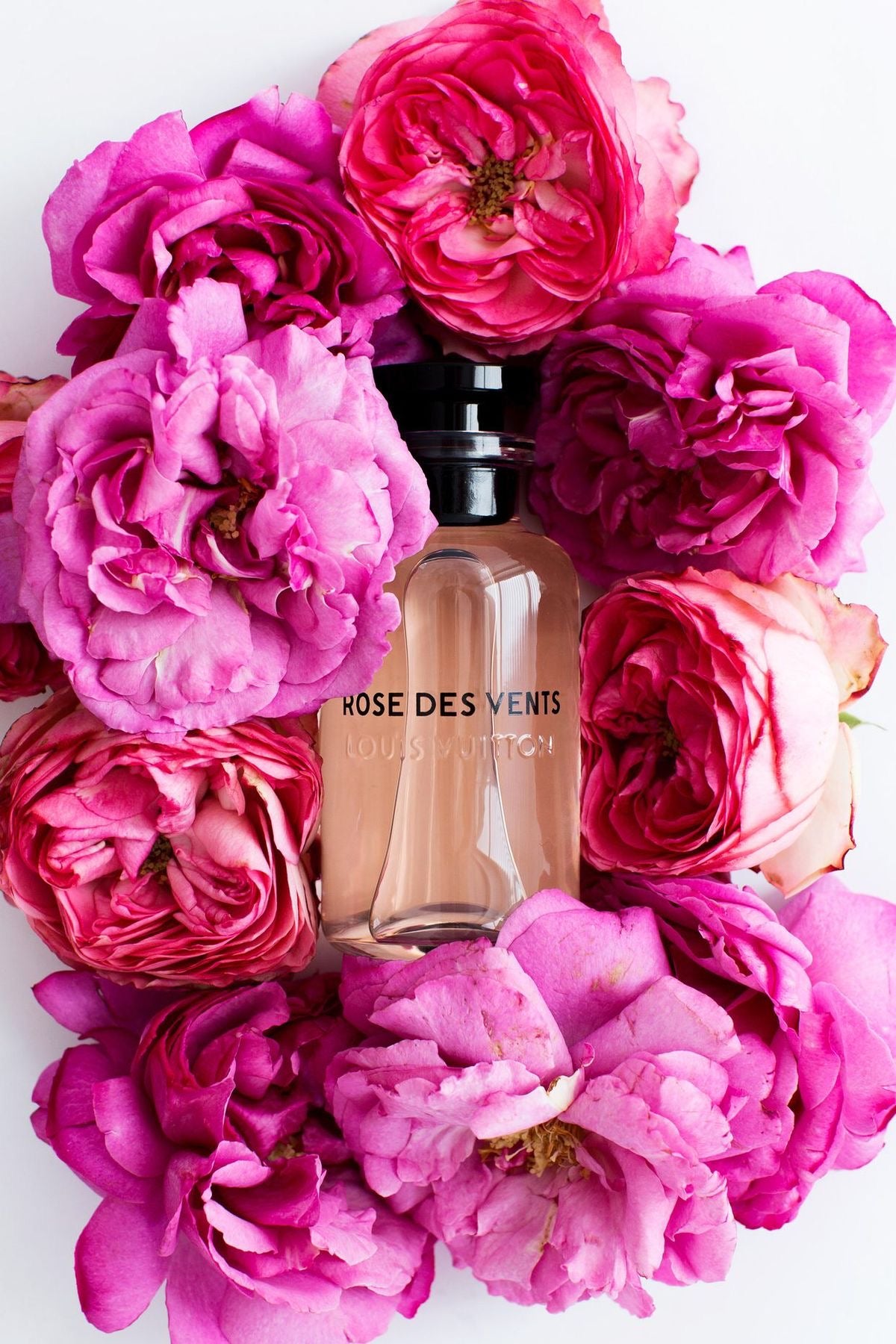 Rose des Vents by Louis Vuitton